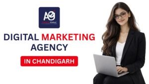 digital marketing agency in chandigarh
